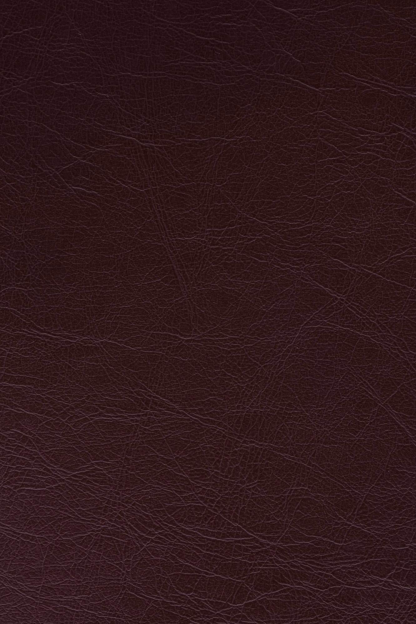 KOA Aura