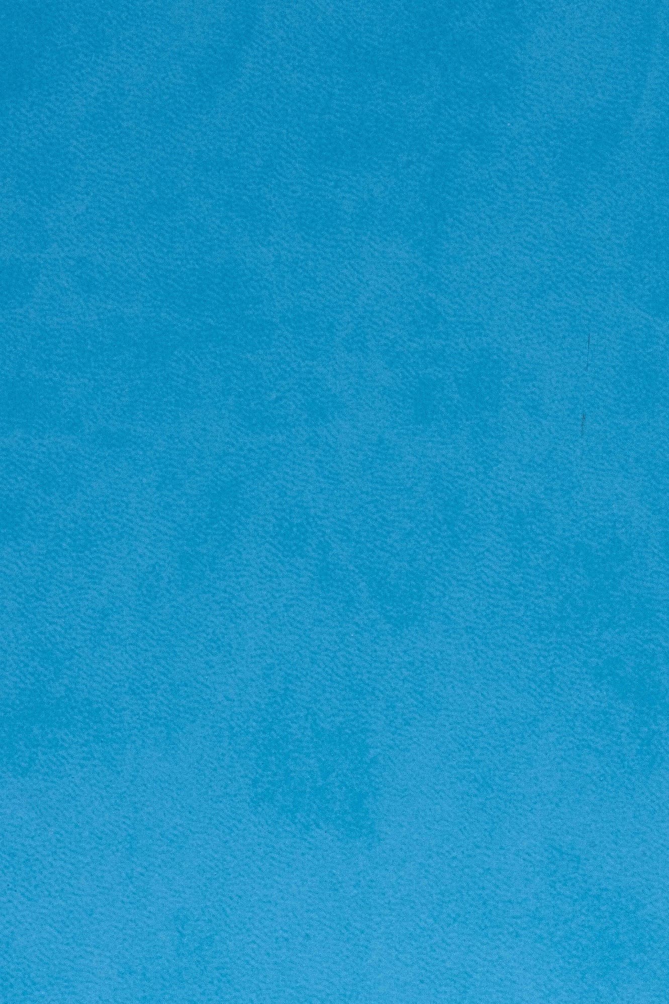 Plain