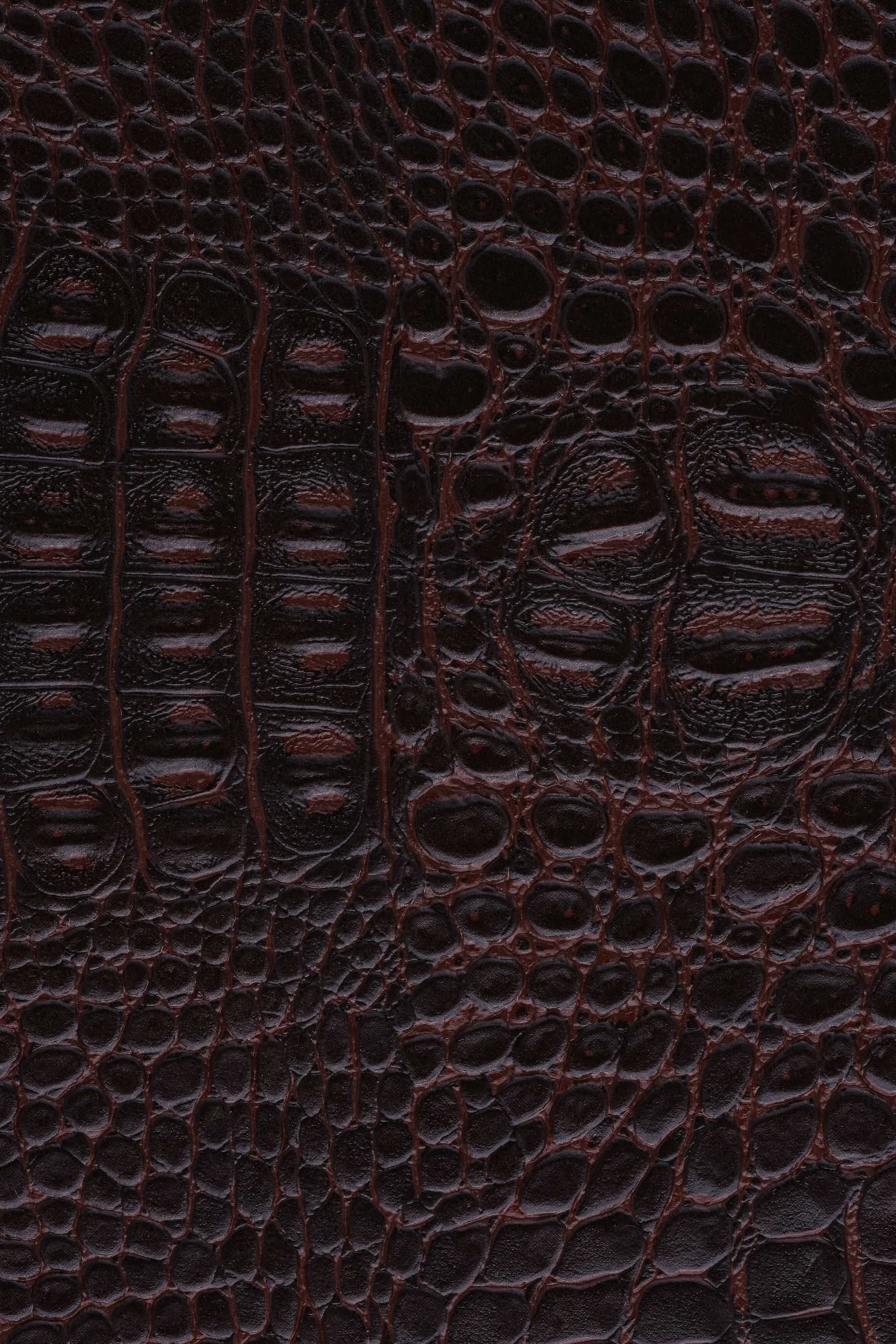 NW Crocoshine