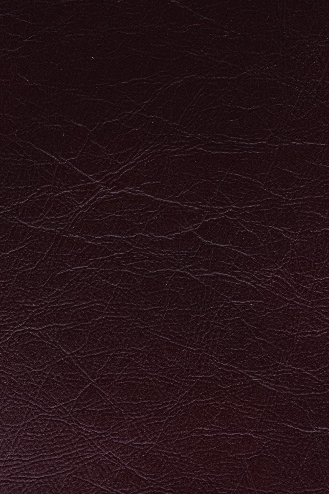 KOA Aura