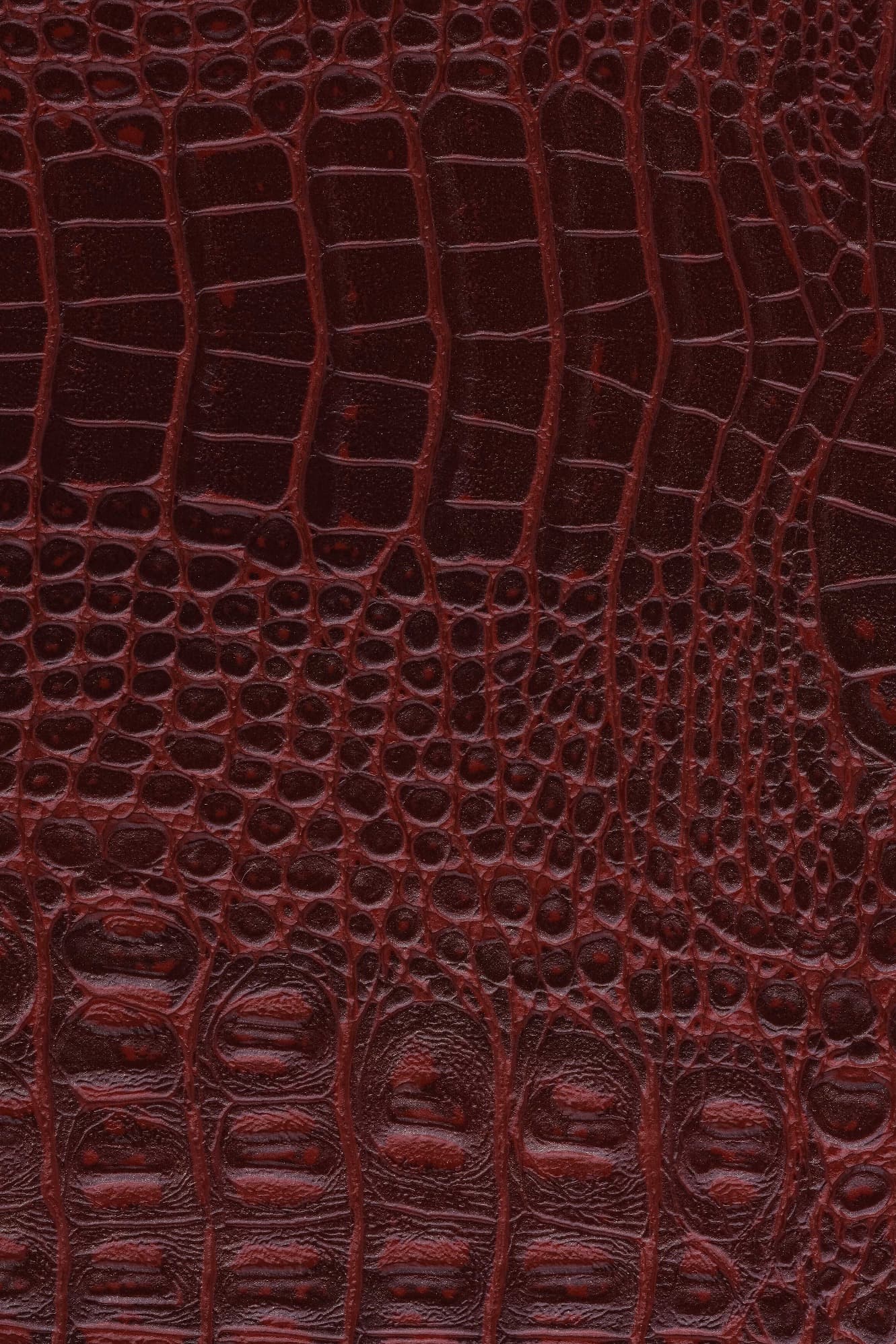 NW Crocoshine