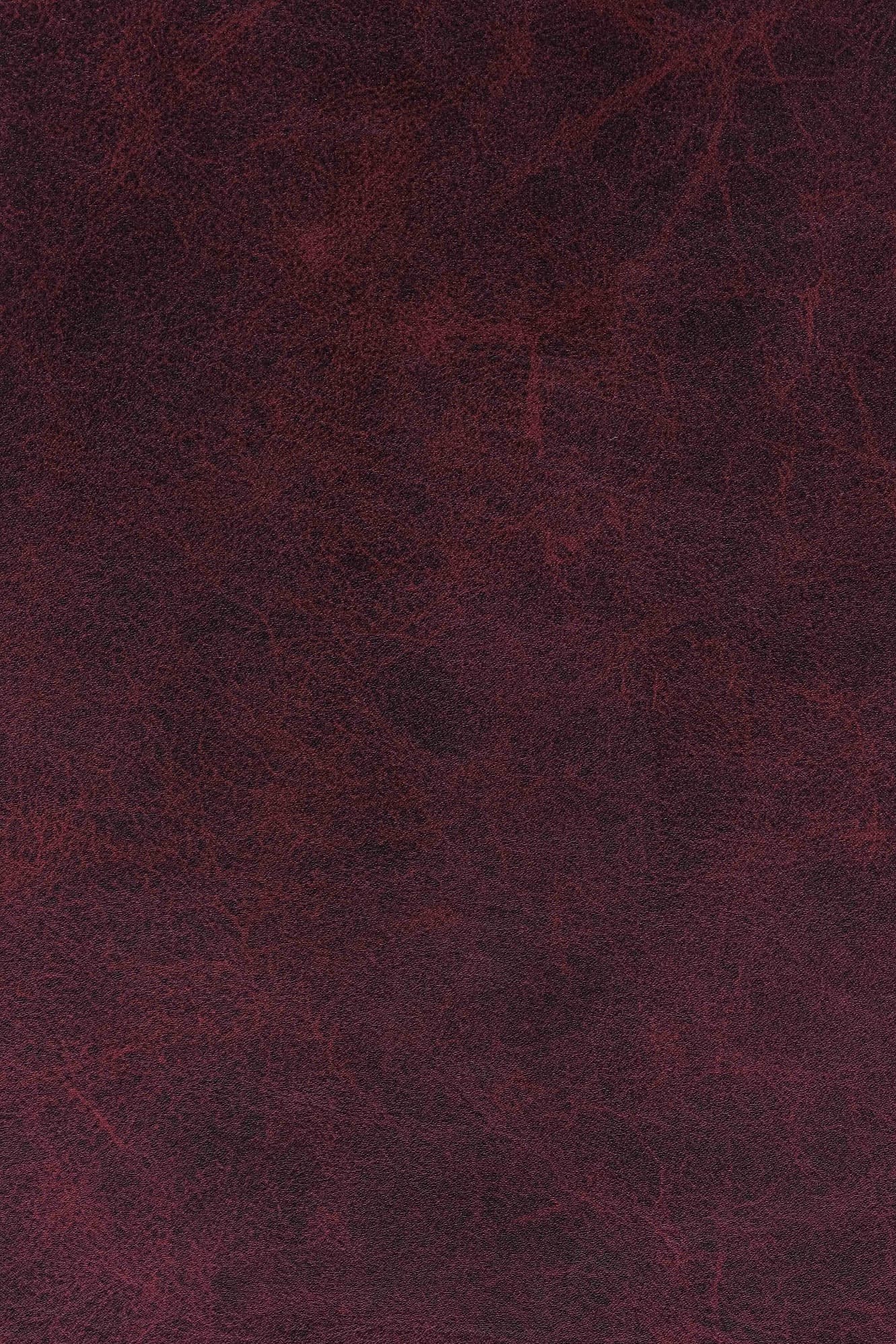 PES Scarlet