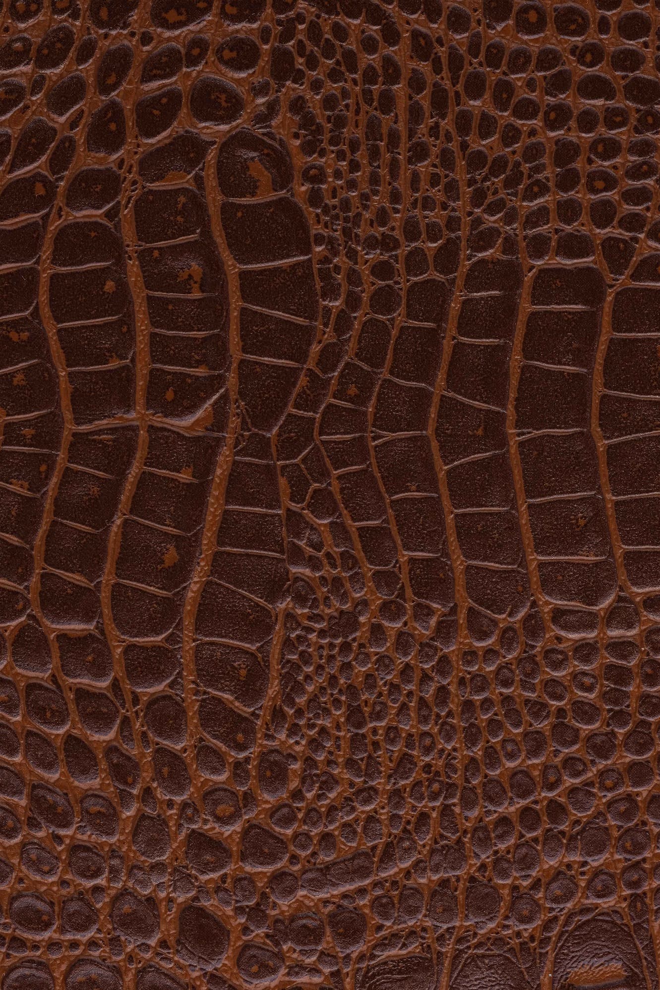 NW Crocoshine